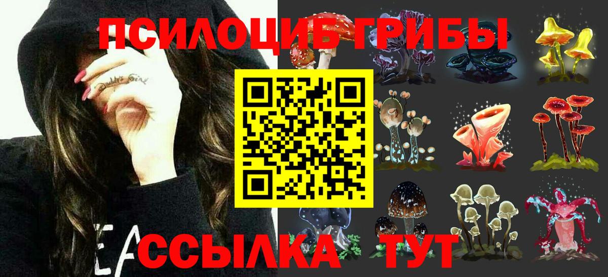 Киселёвск  Галлюциногенные грибы MAGIC MUSHROOMS  Вход с VPN 